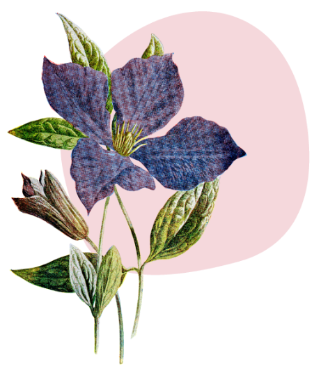 Health With Heart Visit Us Health With Heart Visit Us