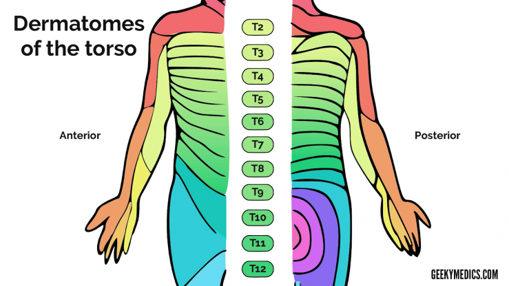 Health With Heart Finding Your Neutral Spine Health With Heart Finding Your Neutral Spine